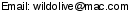 This artist's e-mail address is hidden inside a graphic to protect them from spam.  To send Wild Olive an e-mail, please type the address directly in to your E-mail software. If you are unable to read the graphic for any reason, please contact us at admin@crossrhythms.co.uk and we will supply you with the addresses you require.